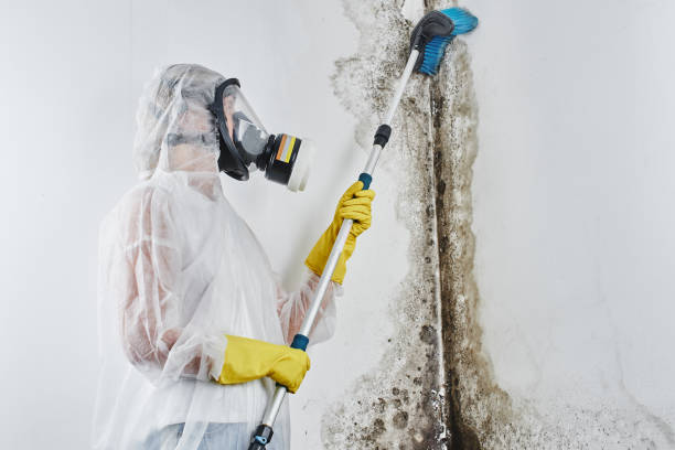 Best Mold Testing  in Warren, OR