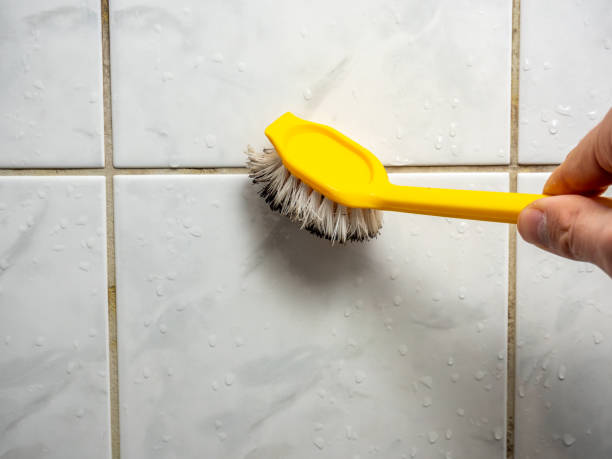 Best Best Mold Removal Companies  in Warren, OR