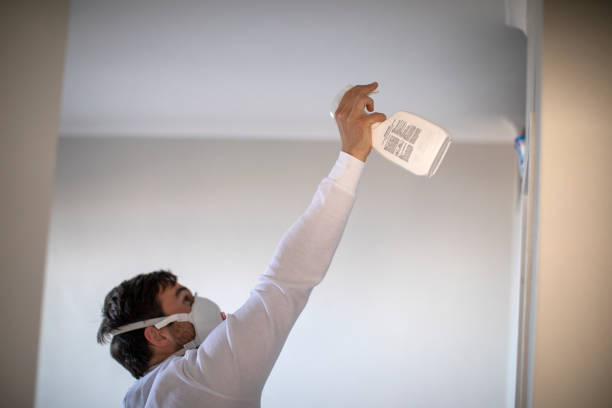 Professional Mold Removal in Warren, OR
