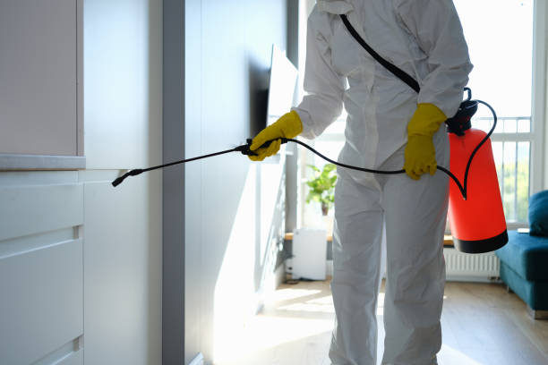 Best Office Mold Removal Services  in Warren, OR