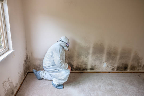 Best Residential Mold Removal  in Warren, OR