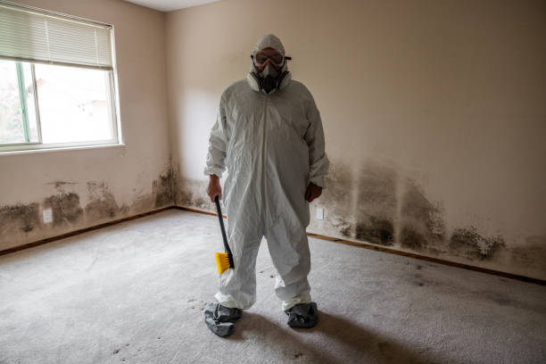 Best Certified Mold Removal  in Warren, OR