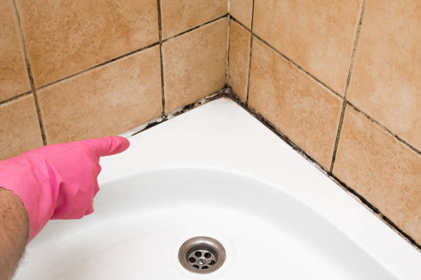 Certified Mold Removal in Warren, OR
